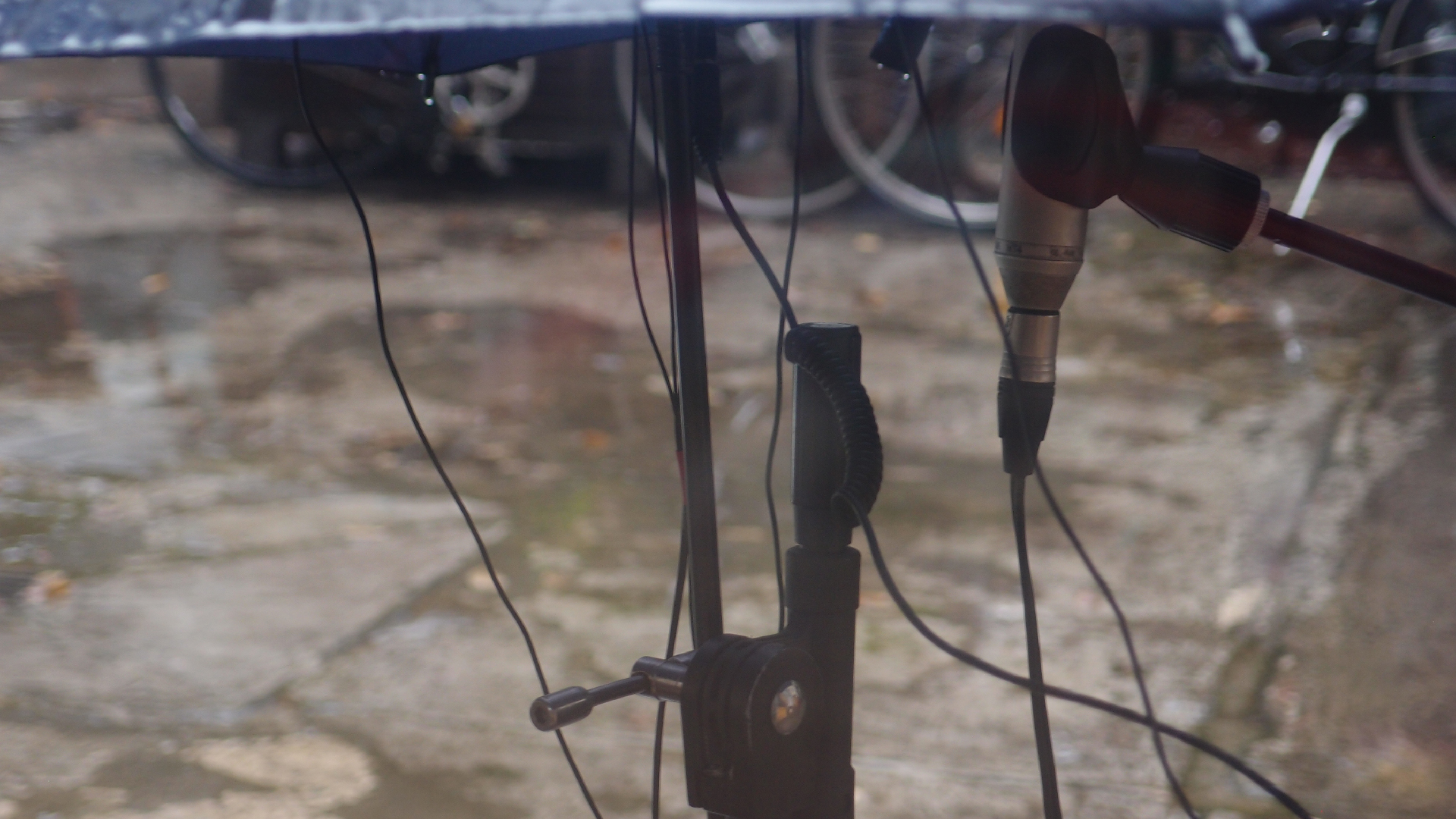 2021-08 Das Kleine Regen Rhythmus Orchester (Audio, Video, Grafk, Foto)